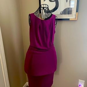Ann Taylor dress in a rich magenta. Medium(10)